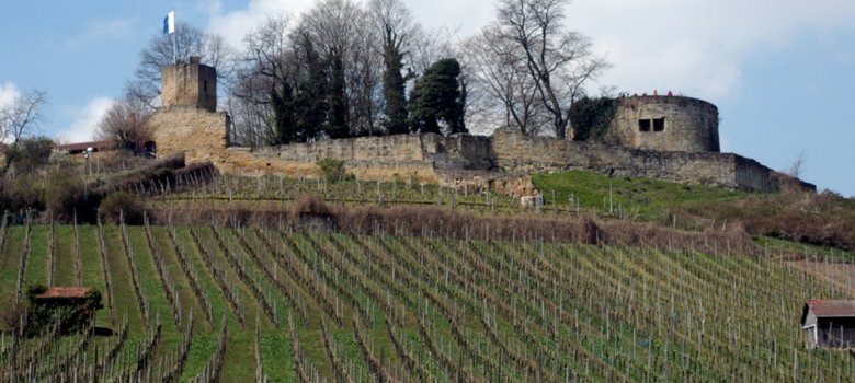 Weinsberg: Burgruine Weibertreu mit Weinbergen 2004